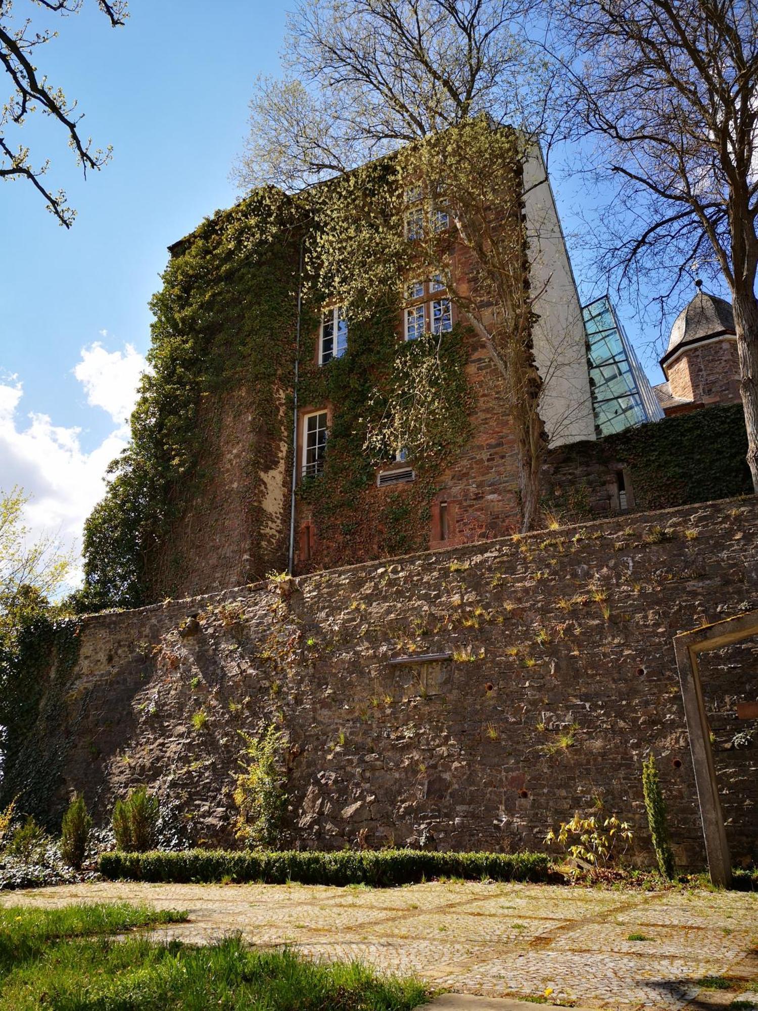 Ferienwohnung In Waldrandlage In Nationalpark Schleiden / Eifel Exterior foto