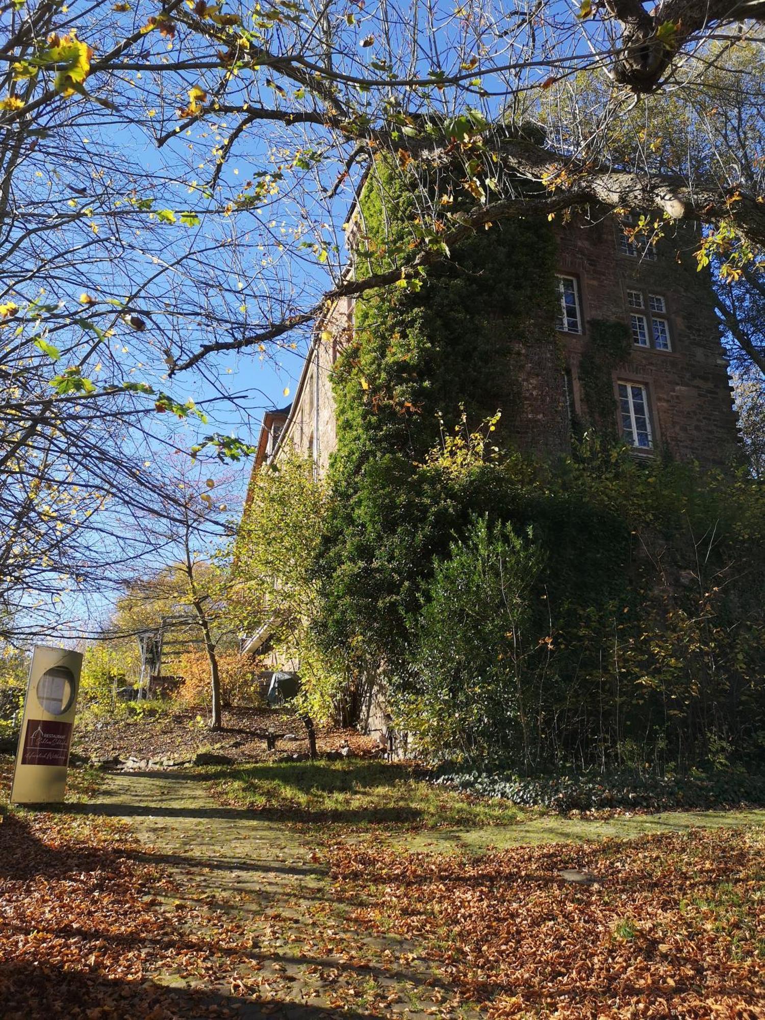 Ferienwohnung In Waldrandlage In Nationalpark Schleiden / Eifel Exterior foto