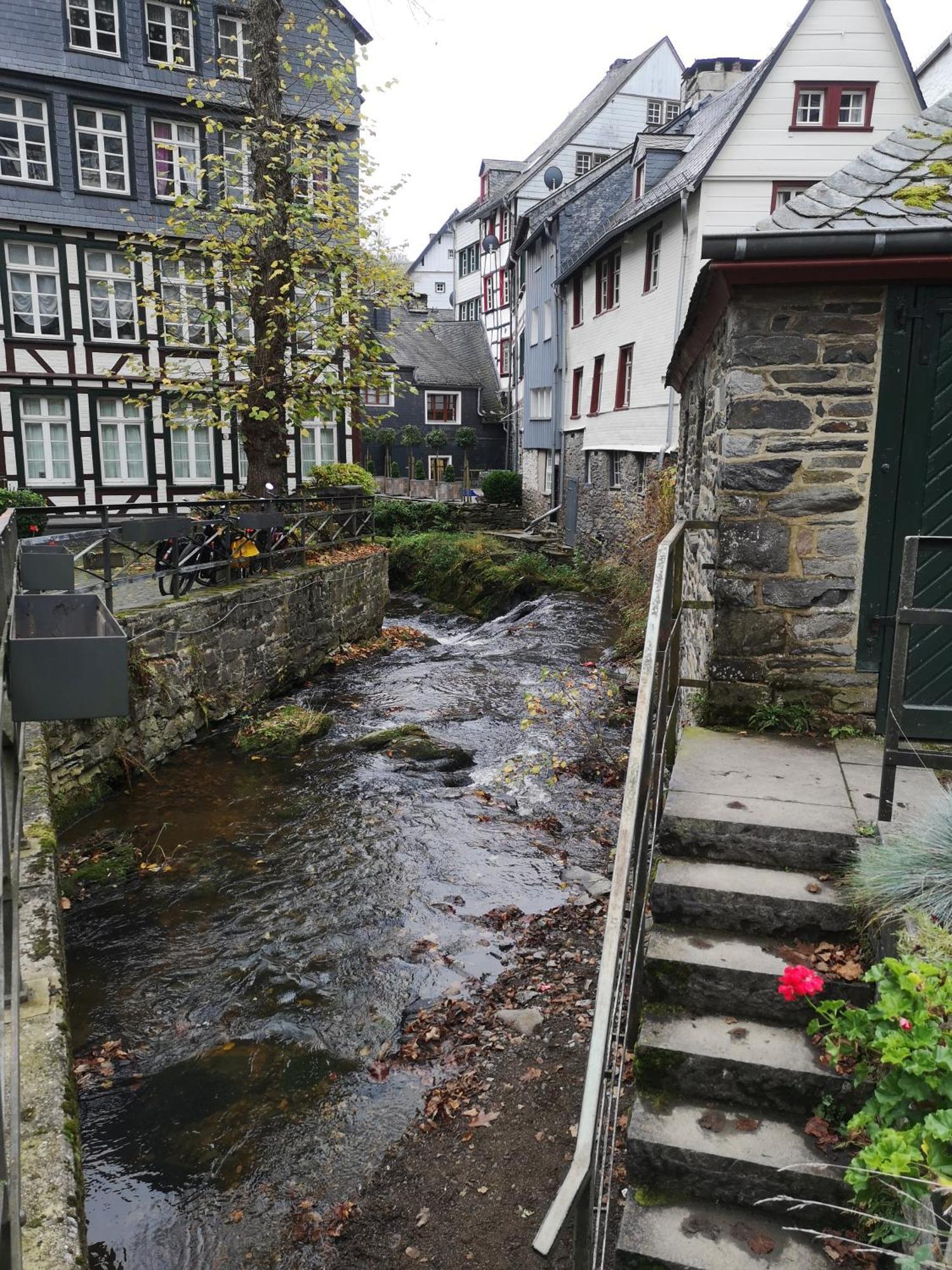 Ferienwohnung In Waldrandlage In Nationalpark Schleiden / Eifel Exterior foto