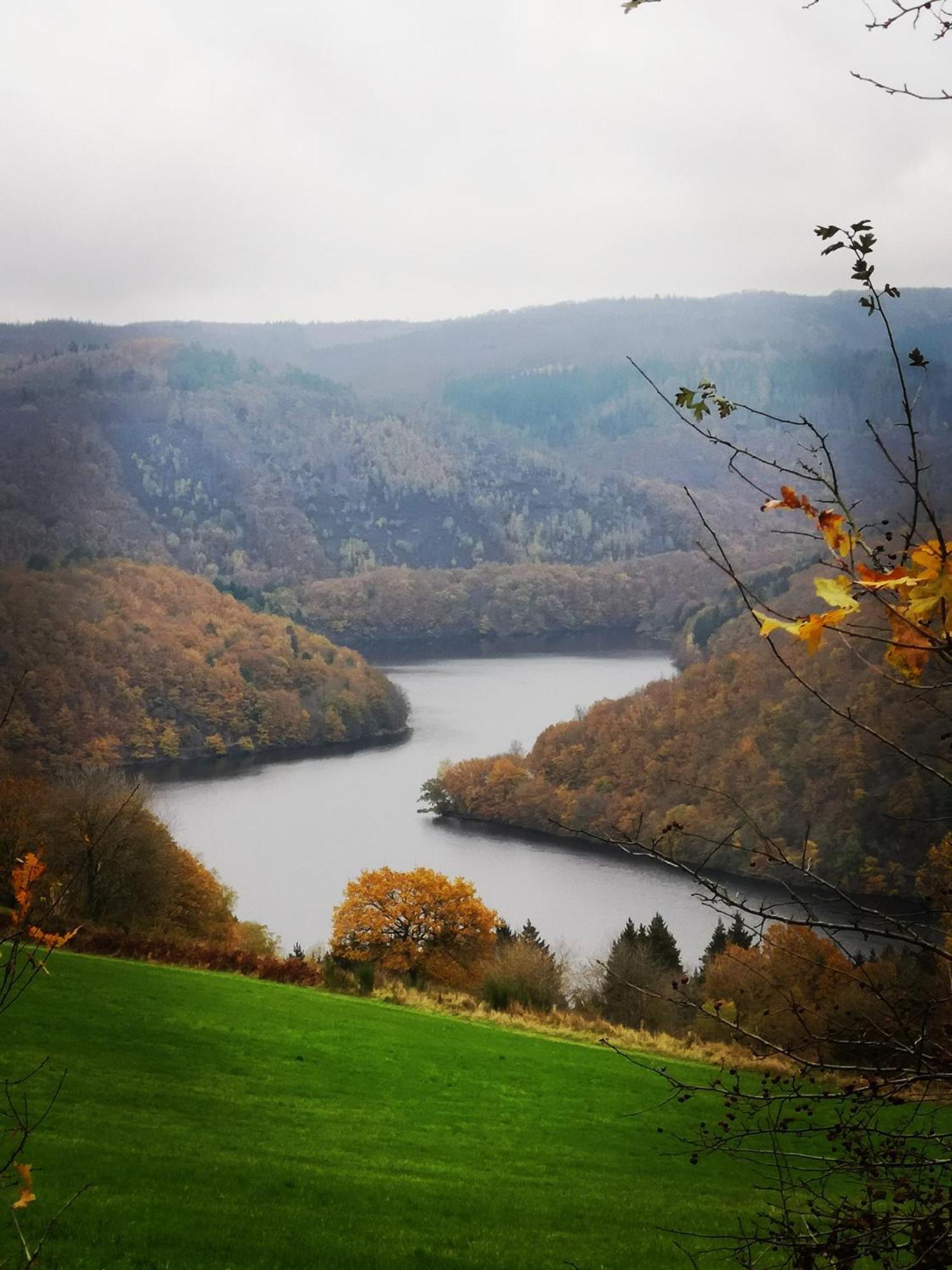 Ferienwohnung In Waldrandlage In Nationalpark Schleiden / Eifel Exterior foto